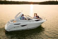 Larson Cabrio 265图集