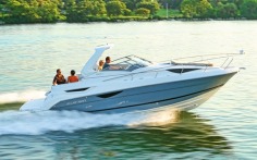 Larson Cabrio 315图集
