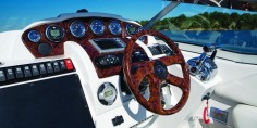 Crownline Cruiser 350CR图集