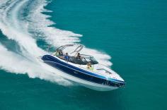  Formula Bowrider 310图集