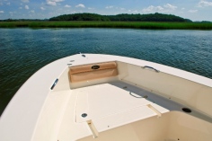 195 SPORTFISH图集
