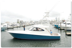 Viking 52 Sport Tower图集