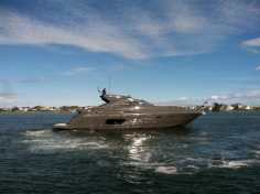 Predator 60