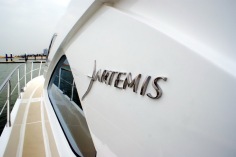 Artemis 43图集