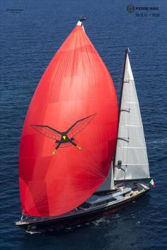 Perini Navi Seahawk 海鹰
