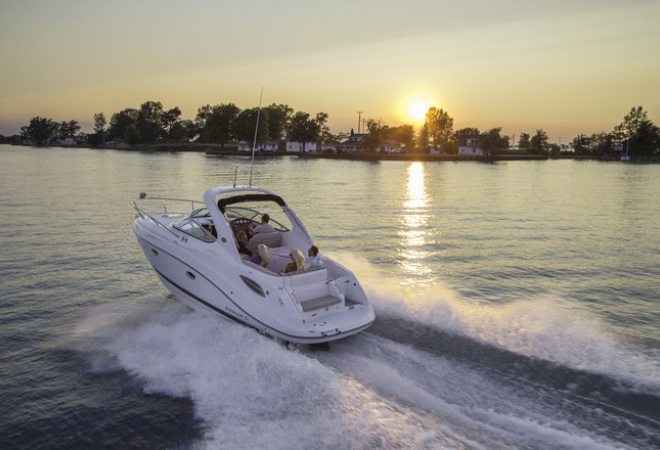 Rinker 290