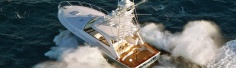 45 Express Sportfish图集